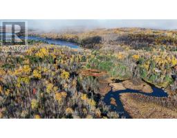 124 Pine Lake Road, Bonfield, ON P0H2E0 Photo 39