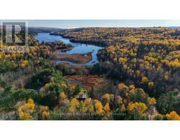 124 Pine Lake Road, Bonfield, ON P0H2E0 Photo 40