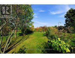 4 Balsam Trail, Norfolk, ON N0E1M0 Photo 34