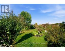 4 Balsam Trail, Norfolk, ON N0E1M0 Photo 37