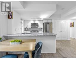 Laundry room - 224 - 65 East Liberty Street, Toronto, ON M6K3R2 Photo 7