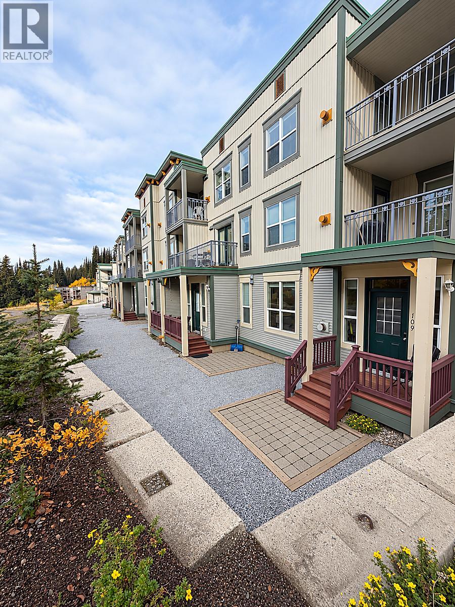 #109 9808 Silver Star Road - 19