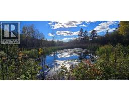 47081 Homestead Road, photo 13