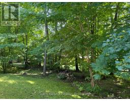 16 Brule Street, Penetanguishene, ON L9M1B2 Photo 38