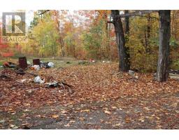 3463 County Road 44, Havelock Belmont Methuen, ON K0L1Z0 Photo 18