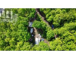 3463 County Road 44, Havelock Belmont Methuen, ON K0L1Z0 Photo 12