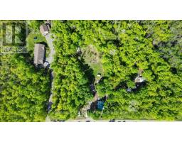 Other - 3463 County Road 44, Havelock Belmont Methuen, ON K0L1Z0 Photo 6