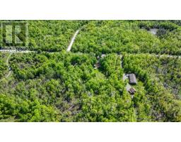 3463 County Road 44, Havelock Belmont Methuen, ON K0L1Z0 Photo 10