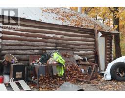 3463 County Road 44, Havelock Belmont Methuen, ON K0L1Z0 Photo 14