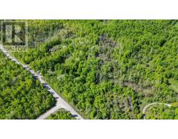 3463 County Road 44, Havelock Belmont Methuen, ON K0L1Z0 Photo 8