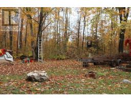 3463 County Road 44, Havelock Belmont Methuen, ON K0L1Z0 Photo 19