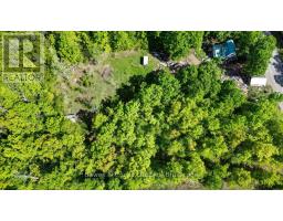 3463 County Road 44, Havelock Belmont Methuen, ON K0L1Z0 Photo 13