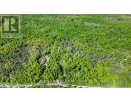 Other - 3463 County Road 44, Havelock Belmont Methuen, ON K0L1Z0 Photo 7