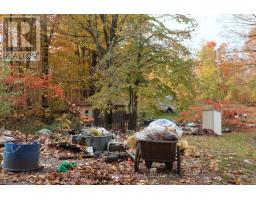 3463 County Road 44, Havelock Belmont Methuen, ON K0L1Z0 Photo 15