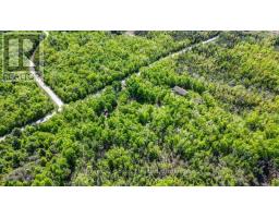3463 County Road 44, Havelock Belmont Methuen, ON K0L1Z0 Photo 9