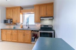 449 Jefferson Avenue, Winnipeg, MB R2V0N5 Photo 21