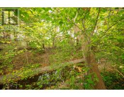 25 Tardree Place, Toronto, ON M1R3X2 Photo 12