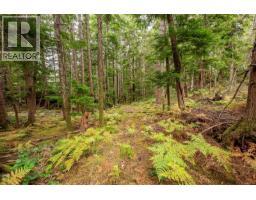 1466 Norton Dr, Cortes Island, BC V0P1Z0 Photo 62