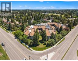 207, 2425 90 Avenue Sw, Calgary, AB T2V4X8 Photo 42