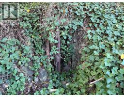 2600 Columbia Avenue, Castlegar, BC V1N2X6 Photo 80