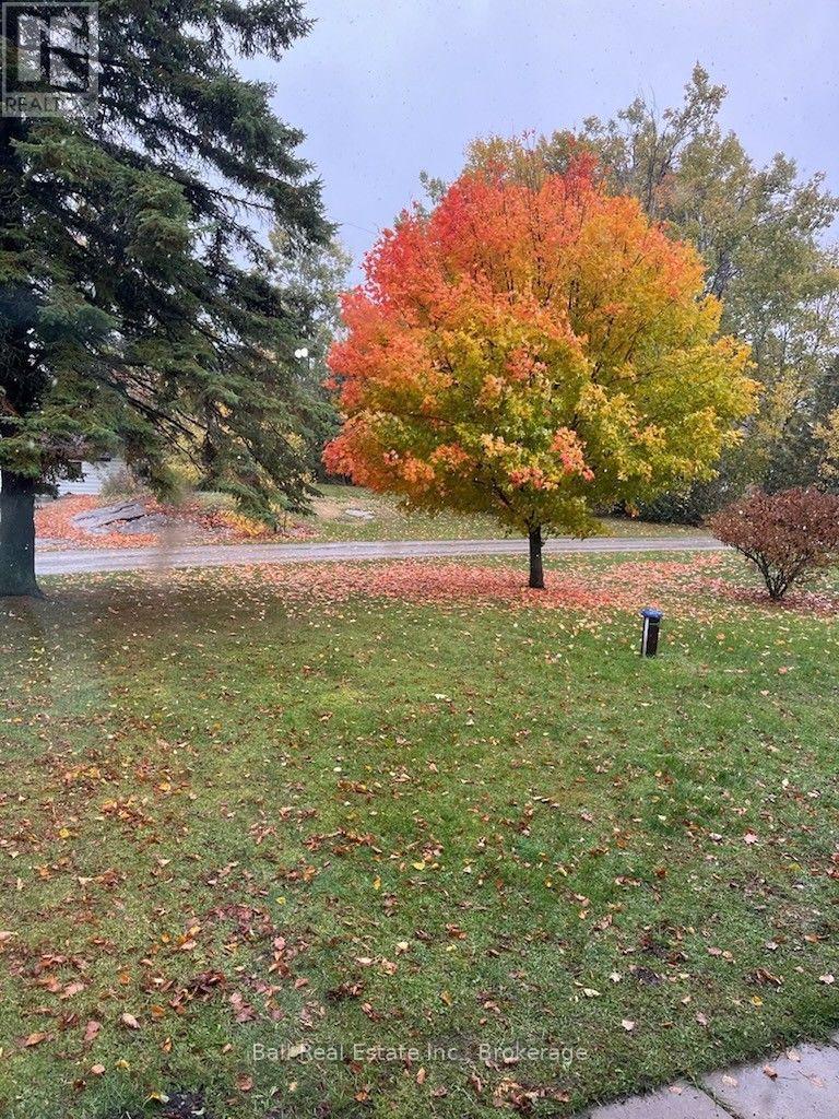 4 Avoline Boulevard North, Kawartha Lakes, ON photo 22