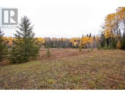 577 Ellis Road, Thunder Bay Remote Area, ON P0T1W0 Photo 33
