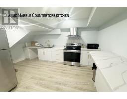 Basement - 45 Fern Avenue, Richmond Hill, ON L4B3R5 Photo 10