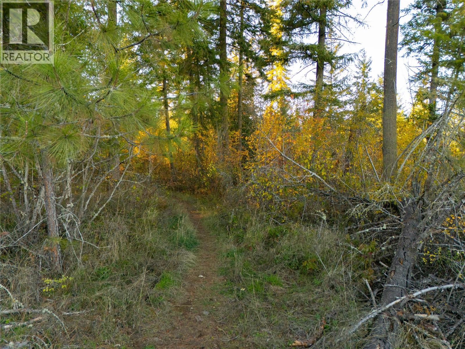 190 Twin Lakes Road, Enderby - Image 1