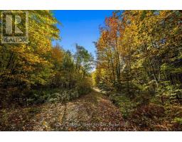 1861 Bearhill Road, Ottawa, ON K0A1L0 Photo 11