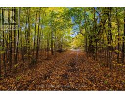 1861 Bearhill Road, Ottawa, ON K0A1L0 Photo 12