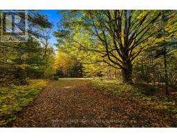 1861 Bearhill Road, Ottawa, ON K0A1L0 Photo 14