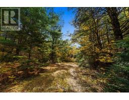 1861 Bearhill Road, Ottawa, ON K0A1L0 Photo 15
