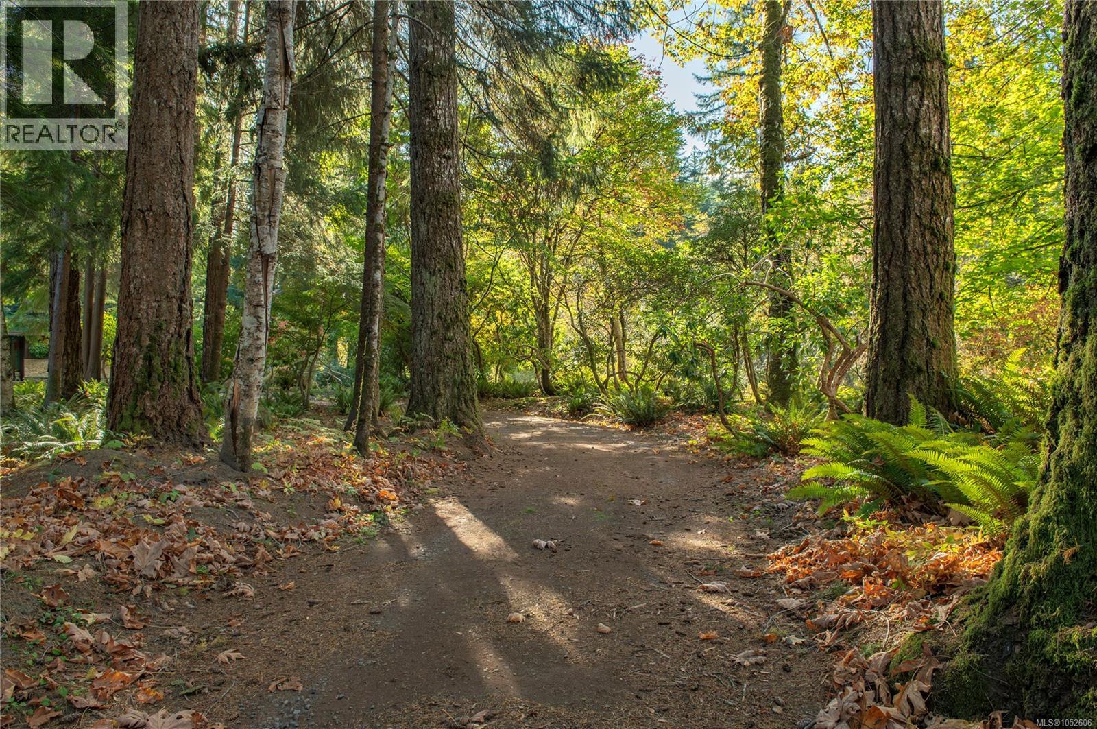 2691 Campbell River Rd - 62