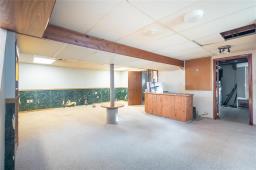 368 Hazel Dell Avenue, Winnipeg, MB R2K0P9 Photo 17