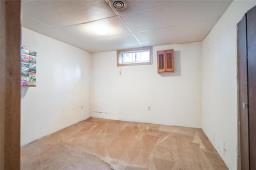 368 Hazel Dell Avenue, Winnipeg, MB R2K0P9 Photo 19