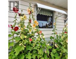 2pc Bathroom - 4815 46 Street, Rocky Mountain House, AB T4T1C4 Photo 7