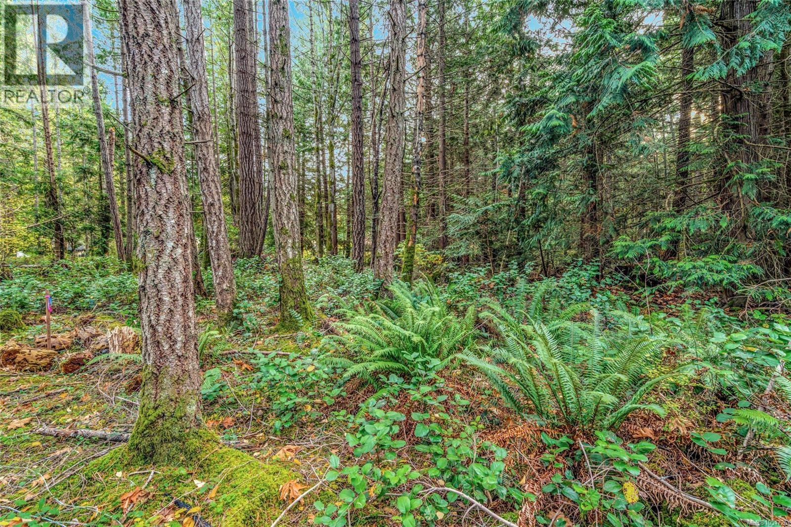 Lot B 2059 Sherritt Dr, Nanoose Bay - Image 1