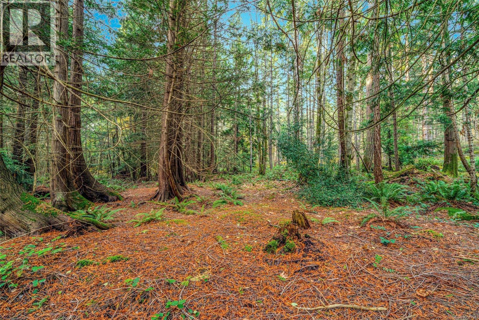 Lot B 2059 Sherritt Dr, Nanoose Bay - Image 1