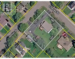 31 Charles Street, Amherst, NS B4H3P9 Photo 39