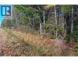 Lot 26-9 Route 855, photo 19