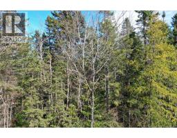 Lot 26-9 Route 855, photo 6