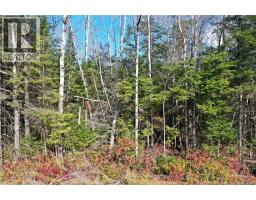 Lot 25-5 Route 855, photo 12