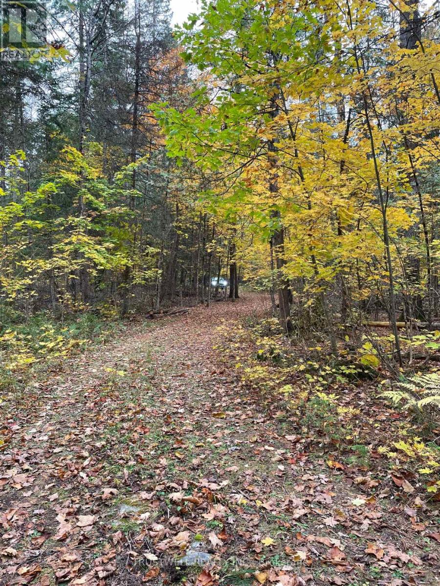 0 Little Silver Lake Road, Trent Lakes, ON photo 7