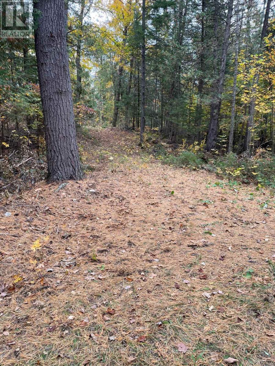 0 Little Silver Lake Road, Trent Lakes, ON photo 8