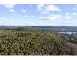 2424 Route 303, Thorne, QC J0X2A0 Photo 30