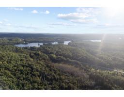 2424 Route 303, Thorne, QC J0X2A0 Photo 31