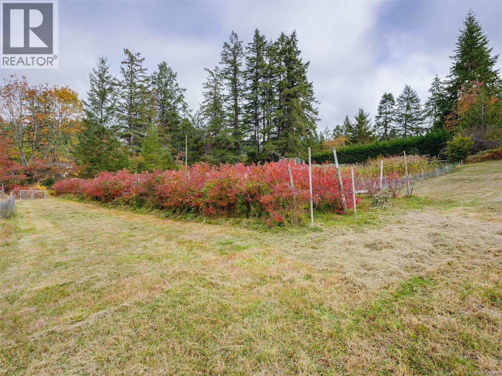 5333 Sparton Rd - 31