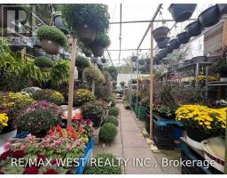 2781 St. Clair Avenue E, Toronto, ON M4B1N1 Photo 8