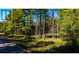 536 Pine Street, Greater Madawaska, ON K0J2R0 Photo 18