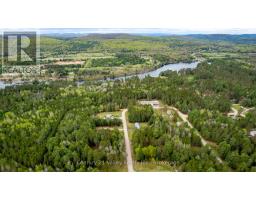 536 Pine Street, Greater Madawaska, ON K0J2R0 Photo 43